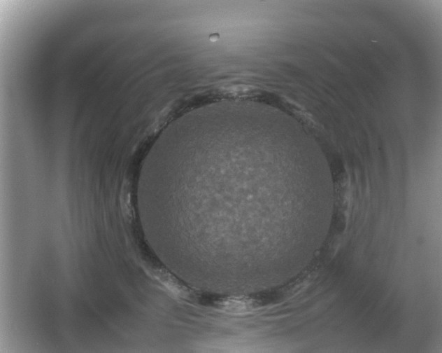 X0000066540615200603241413