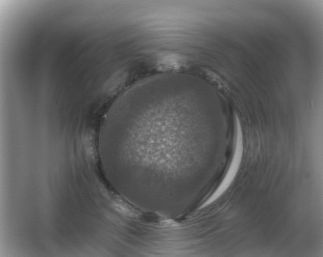 X0000066540616200603241413