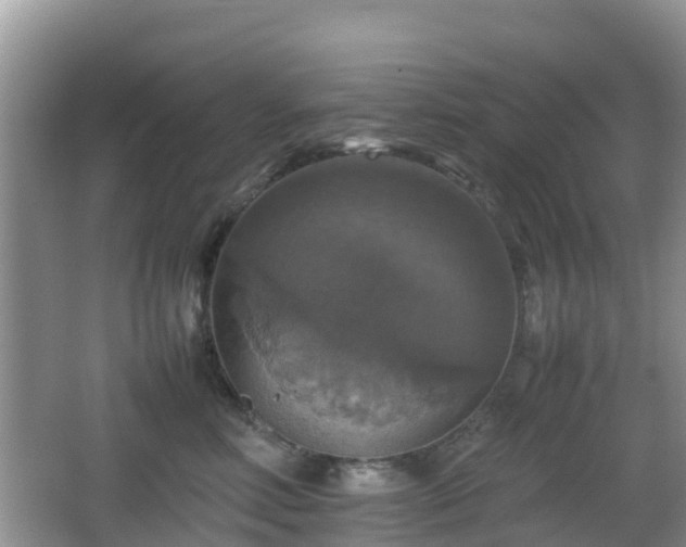 X0000066540618200603241413