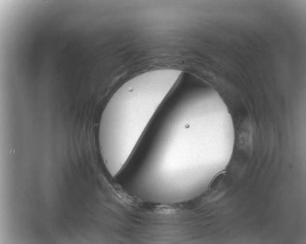 X0000066540620200603241413