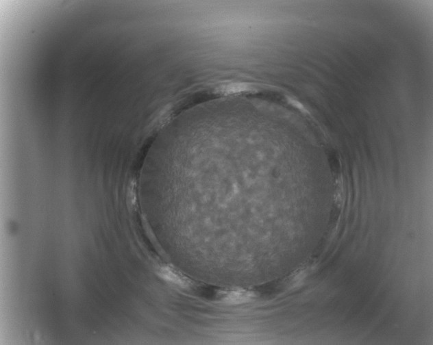 X0000066540621200603241413