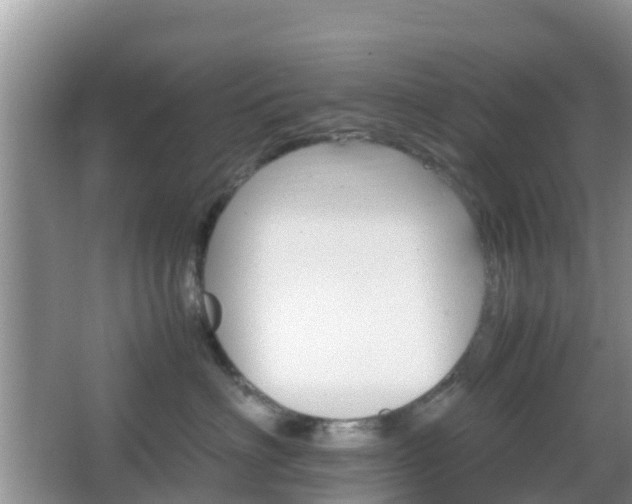 X0000066540622200603241413