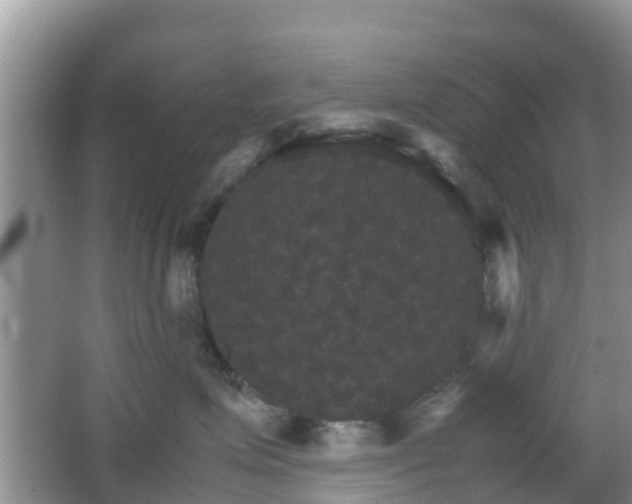 X0000066540623200603241413