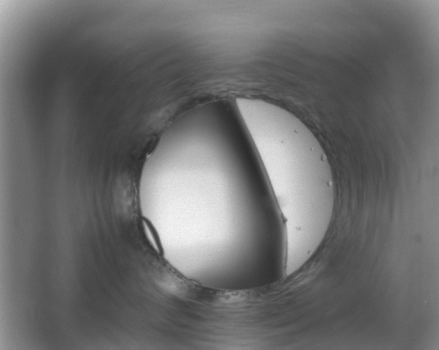 X0000066540624200603241413