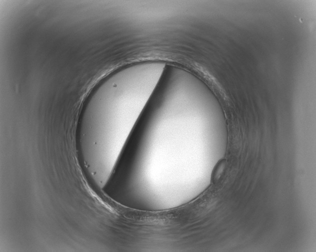 X0000066540625200603241412