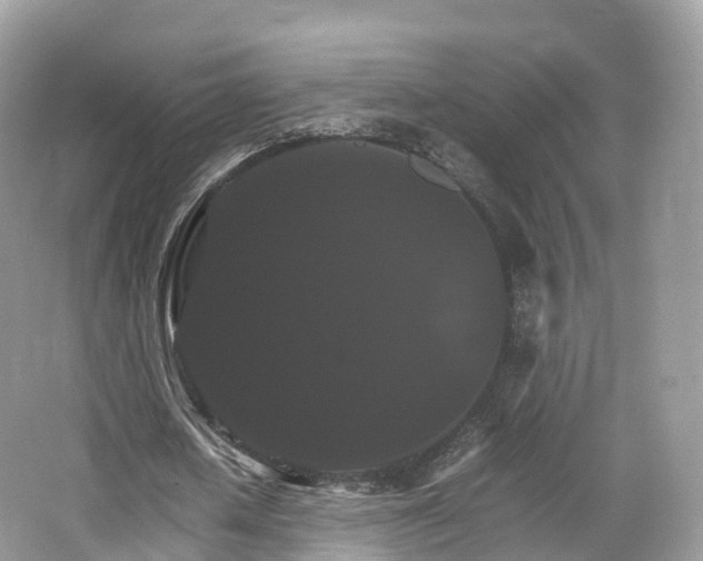 X0000066540626200603241412