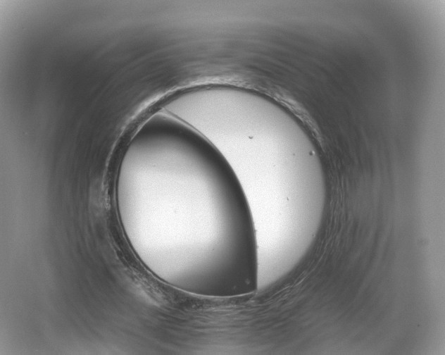 X0000066540628200603241412