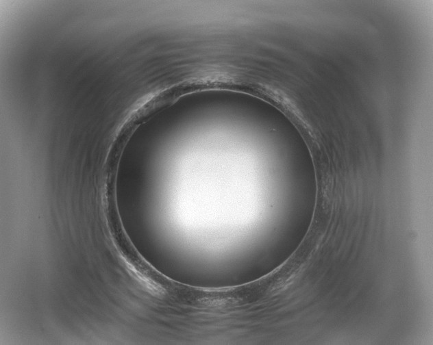 X0000066540629200603241412