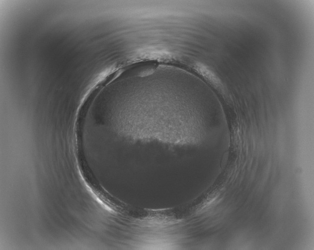 X0000066540630200603241412