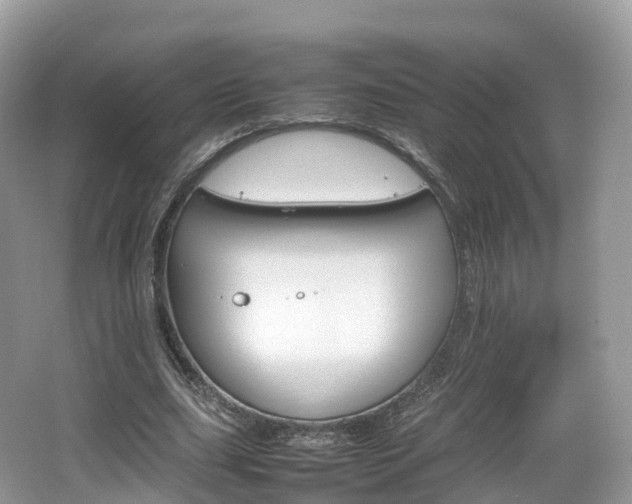 X0000066540631200603241412