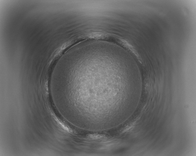 X0000066540633200603241412