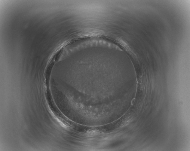 X0000066540634200603241412