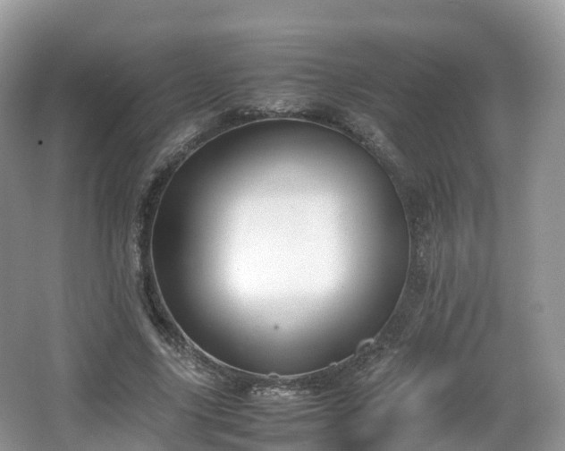 X0000066540635200603241412