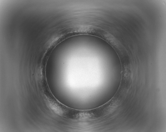 X0000066540636200603241412