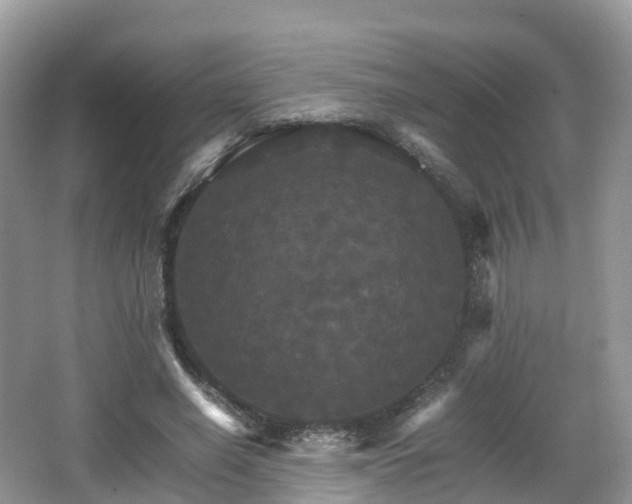 X0000066540638200603241412