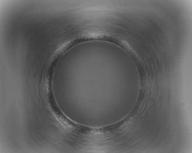 X0000066540640200603241412