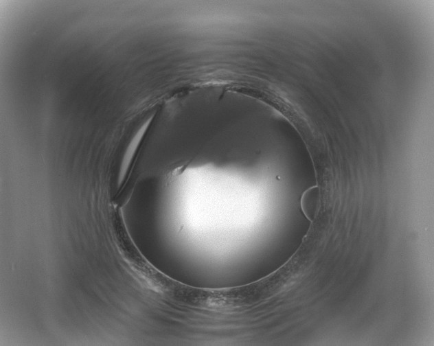 X0000066540641200603241412