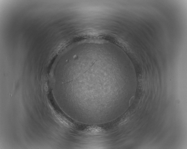 X0000066540642200603241412