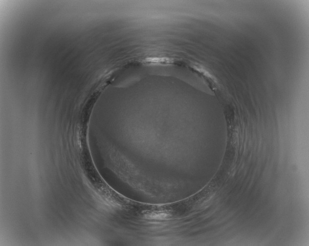 X0000066540643200603241412