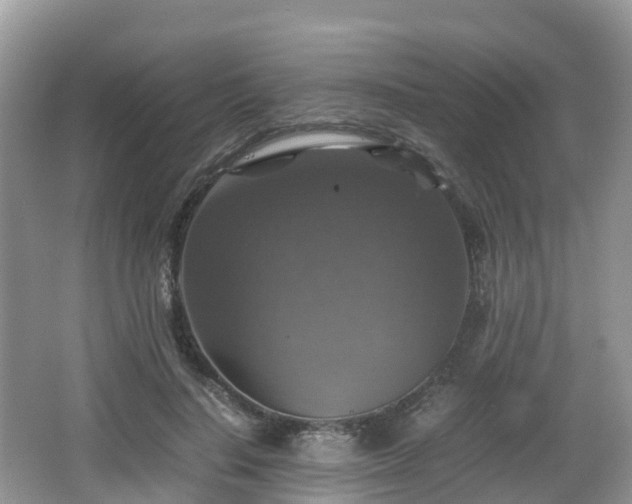 X0000066540644200603241412