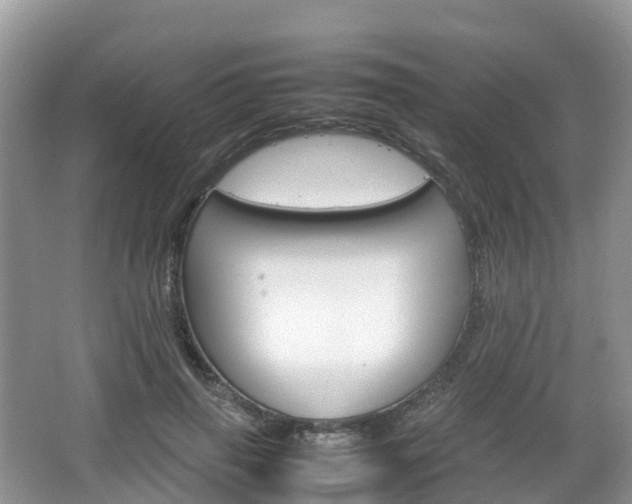 X0000066540645200603241412