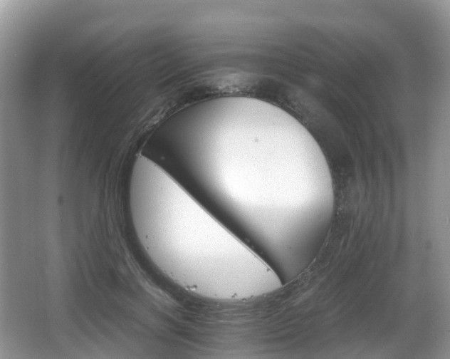 X0000066540646200603241412