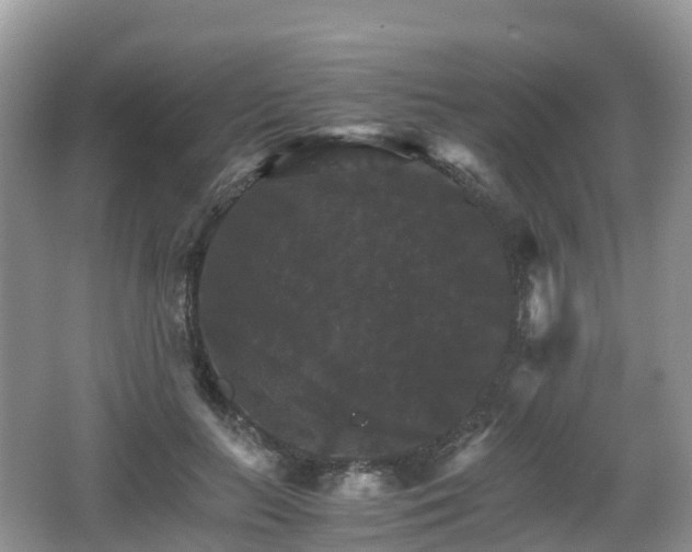 X0000066540647200603241412