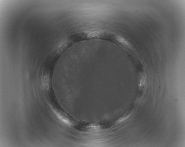 X0000066540648200603241412