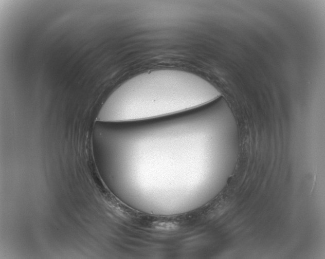 X0000066540649200603241412