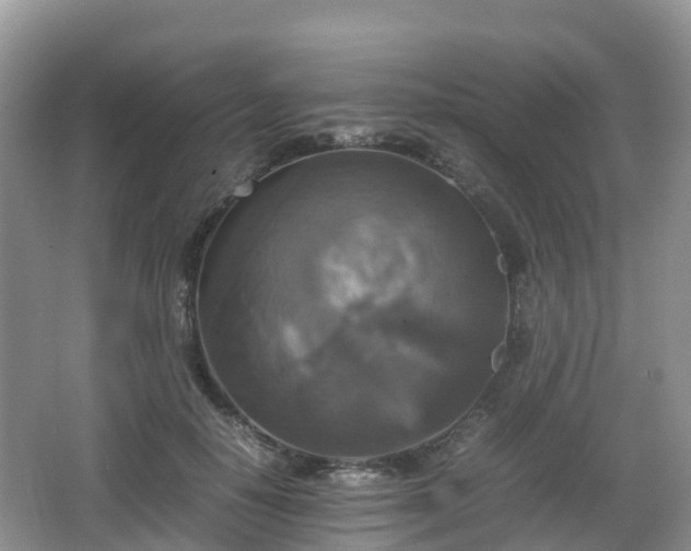 X0000066540650200603241412