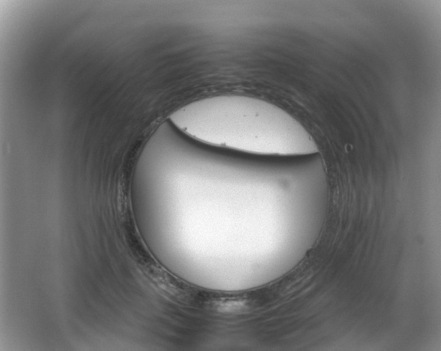 X0000066540651200603241412