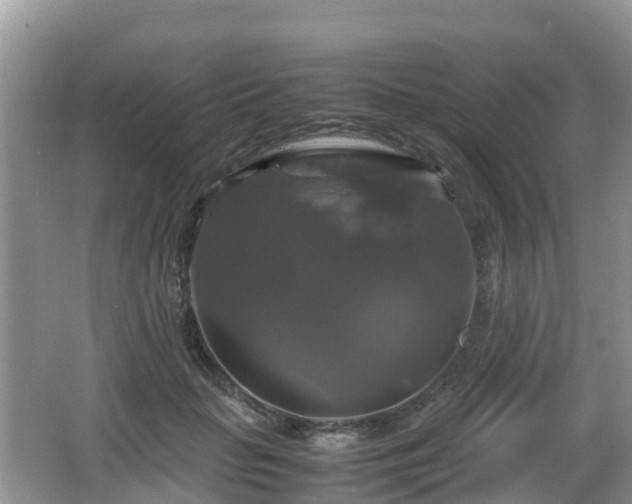 X0000066540653200603241412