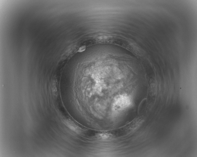 X0000066540654200603241412