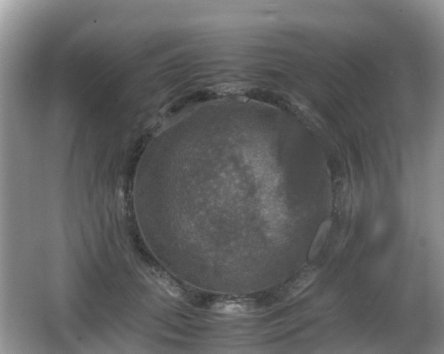 X0000066540655200603241412