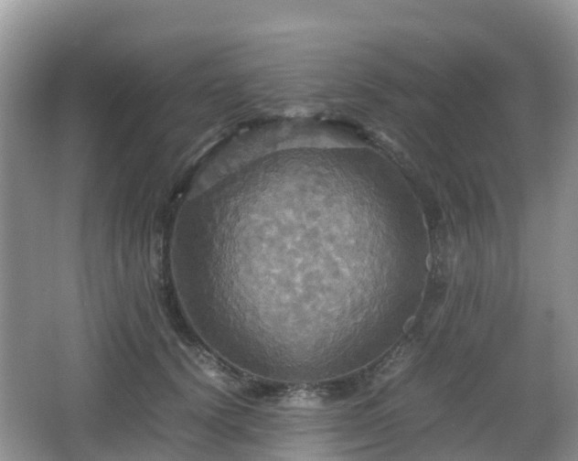 X0000066540656200603241412