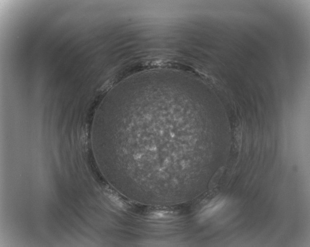 X0000066540657200603241412