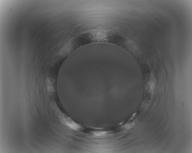 X0000066540658200603241412