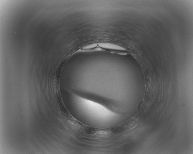 X0000066540659200603241412