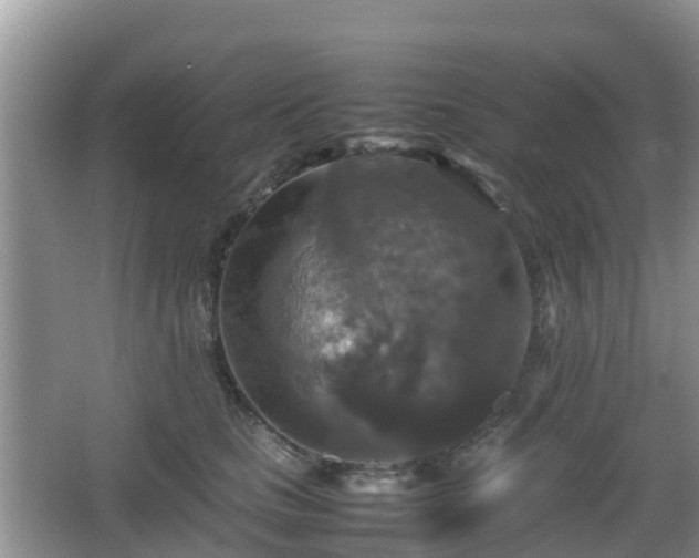 X0000066540661200603241412