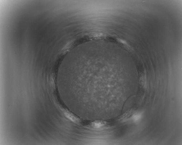 X0000066540662200603241412