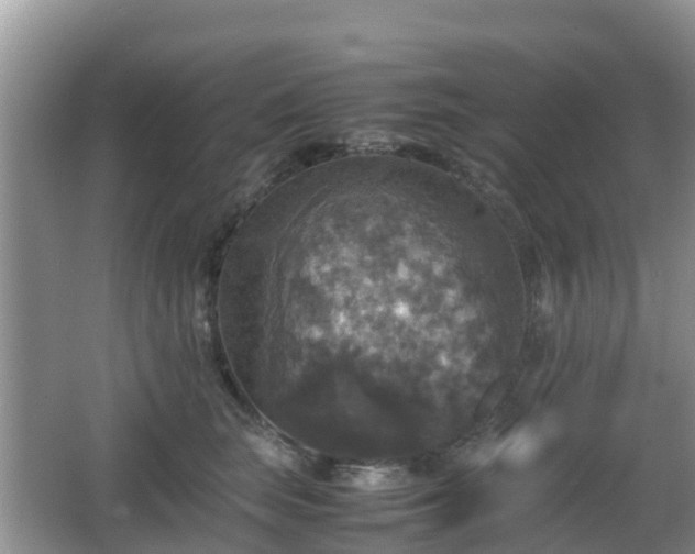 X0000066540663200603241412