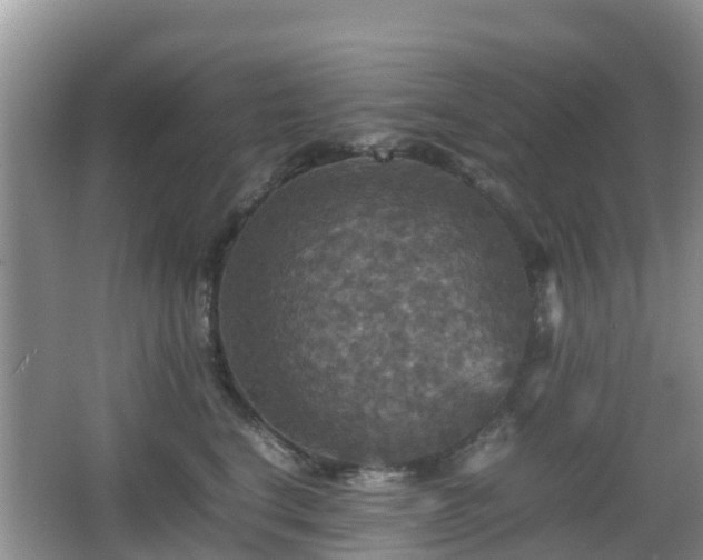 X0000066540664200603241412