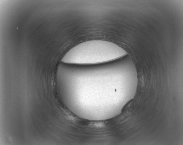 X0000066540665200603241413