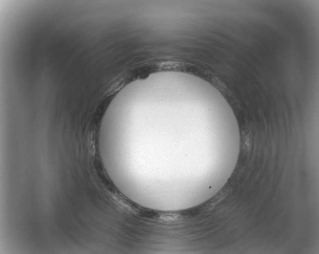 X0000066540666200603241413