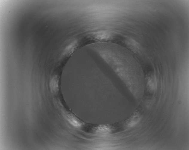 X0000066540668200603241413