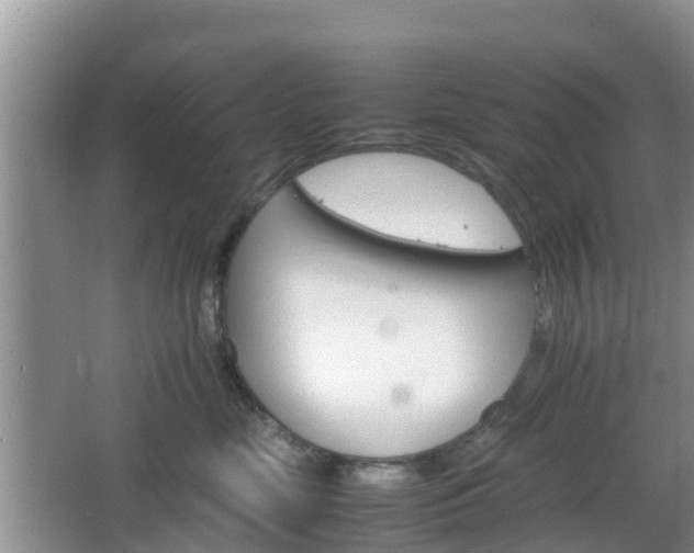 X0000066540669200603241413