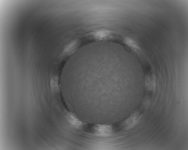 X0000066540670200603241413