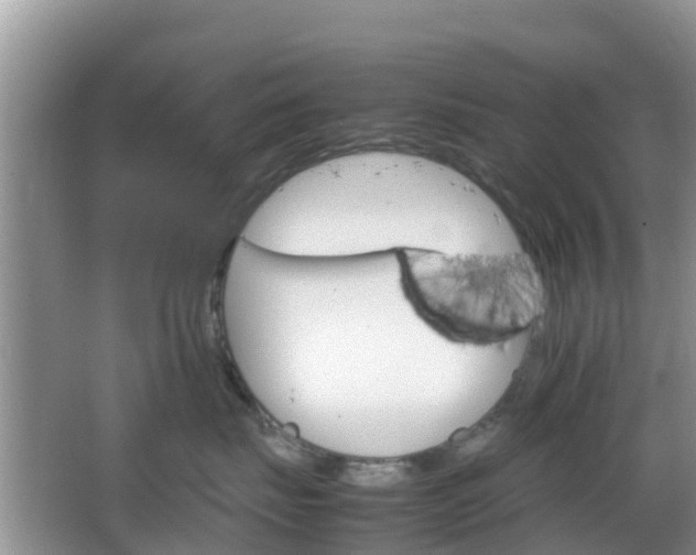 X0000066540671200603241413