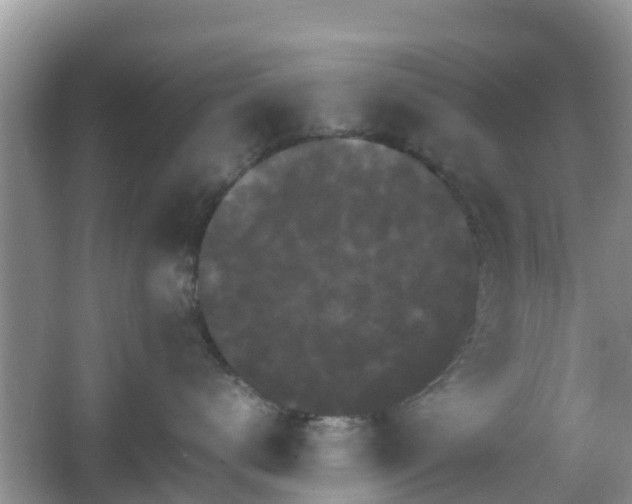 X0000066540672200603241413