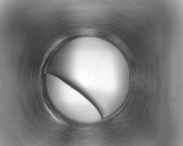 X0000066540674200603241412